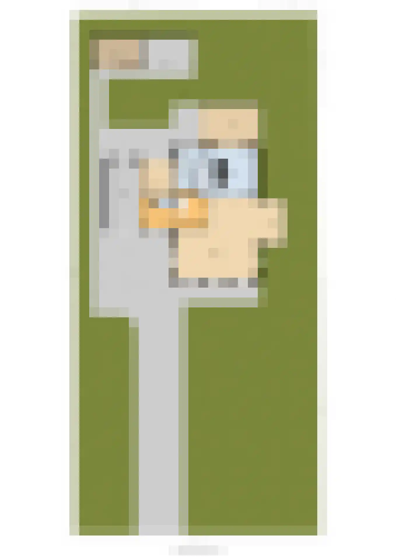 Hemmemawei 1 A Berltsum thumbnail 95