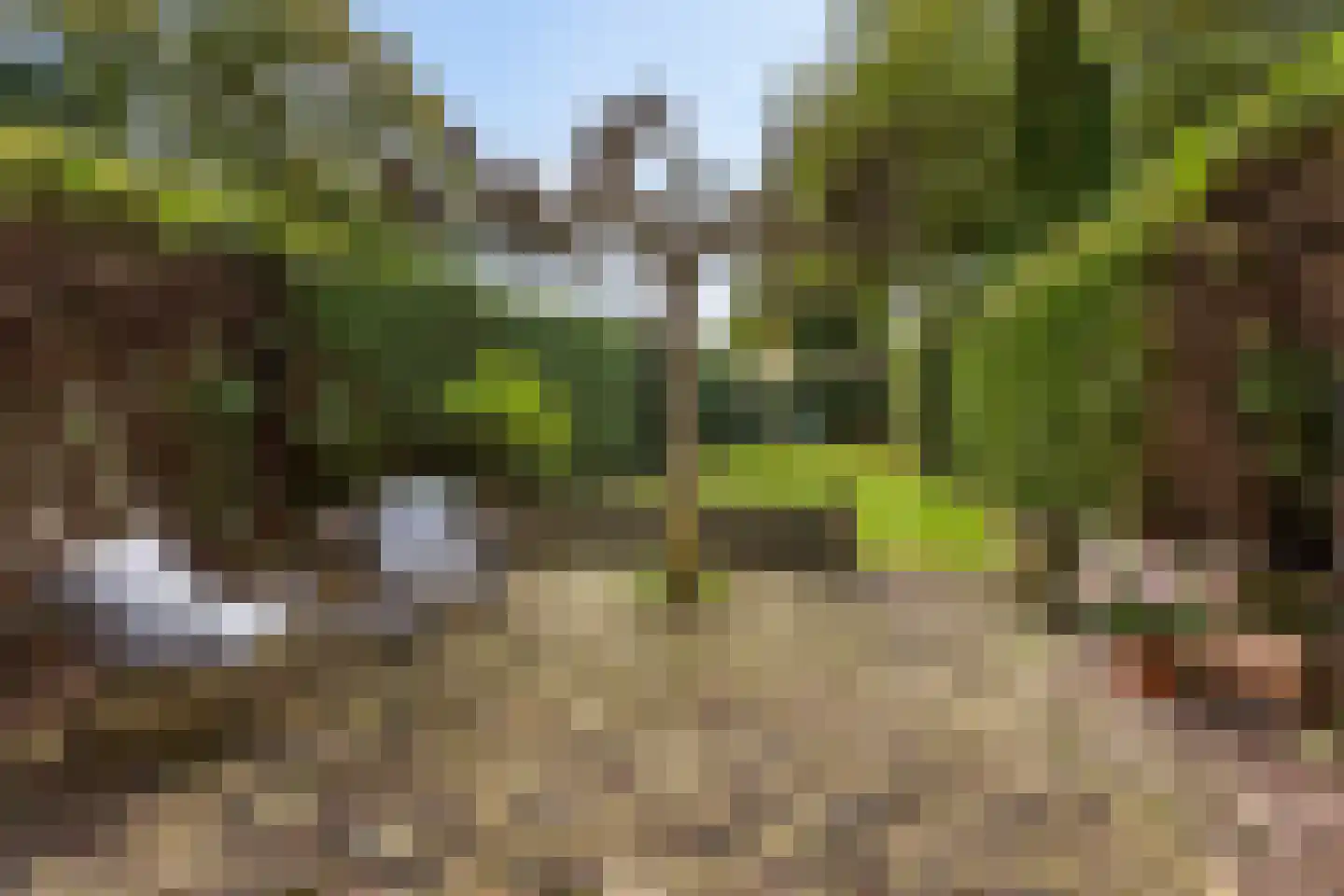 Hemmenkamp 13 Haren Gn thumbnail 39
