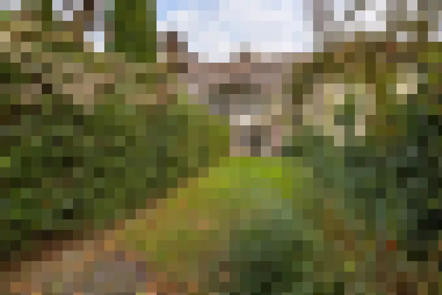 Hemmenkamp 13 Haren Gn thumbnail 4