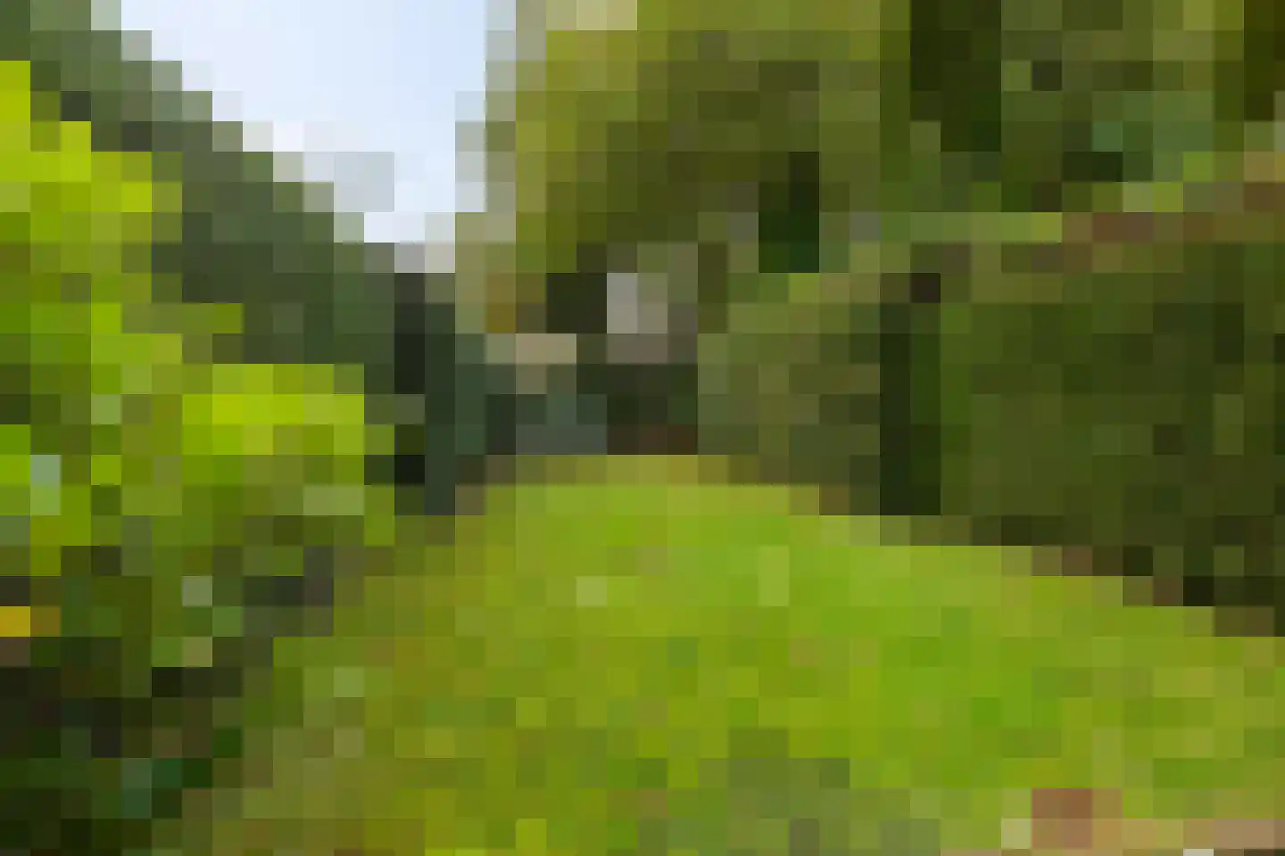 Hemmenkamp 13 Haren Gn thumbnail 40
