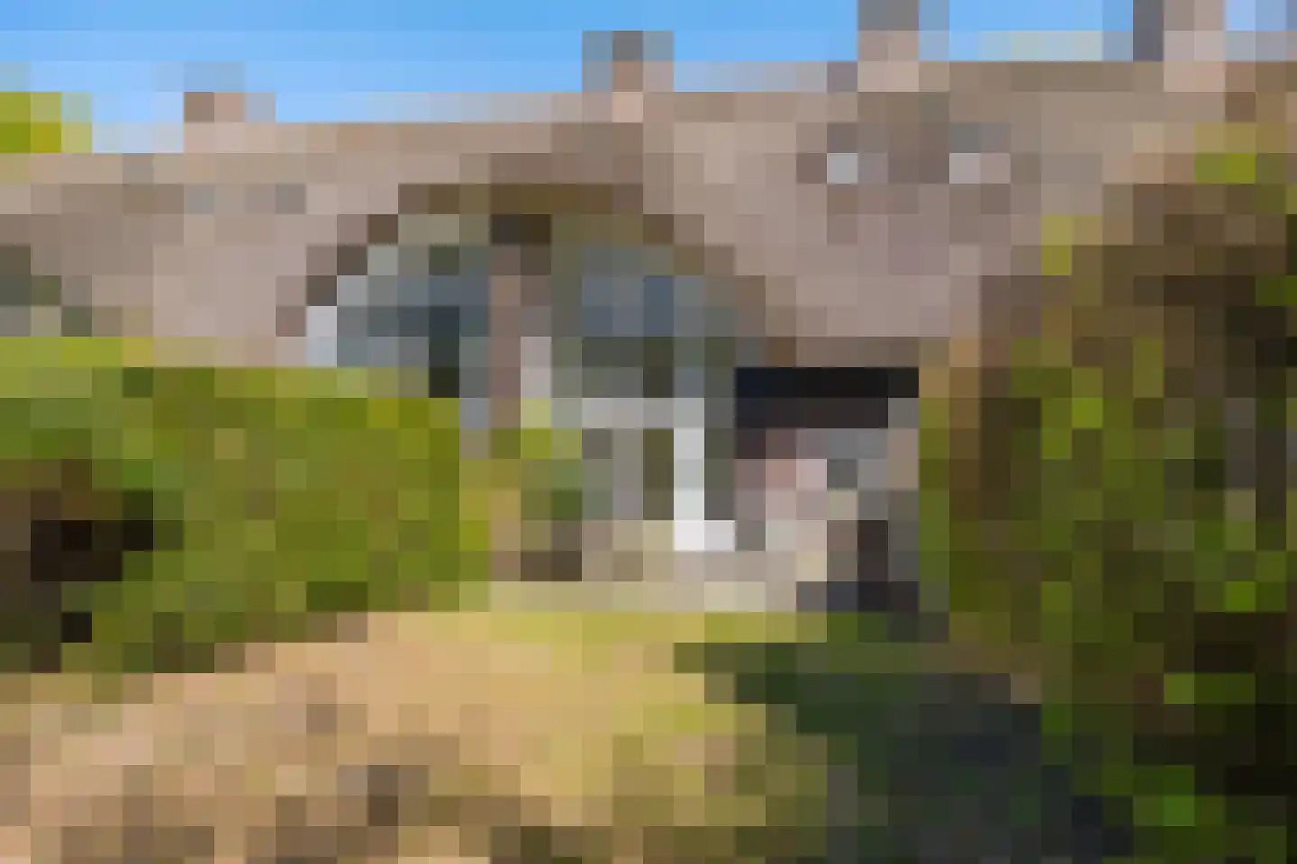 Hemmenkamp 15 Haren Gn thumbnail 20