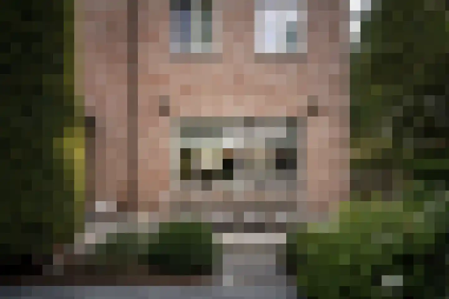 Hemmenweg 143 Ekehaar thumbnail 15