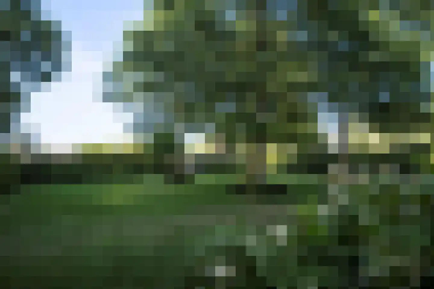 Hemmenweg 143 Ekehaar thumbnail 19