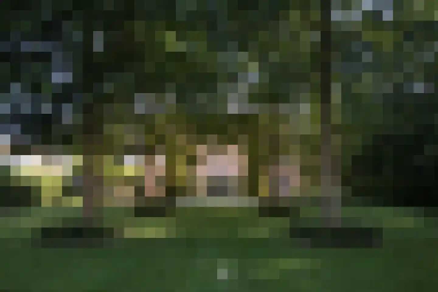 Hemmenweg 143 Ekehaar thumbnail 23