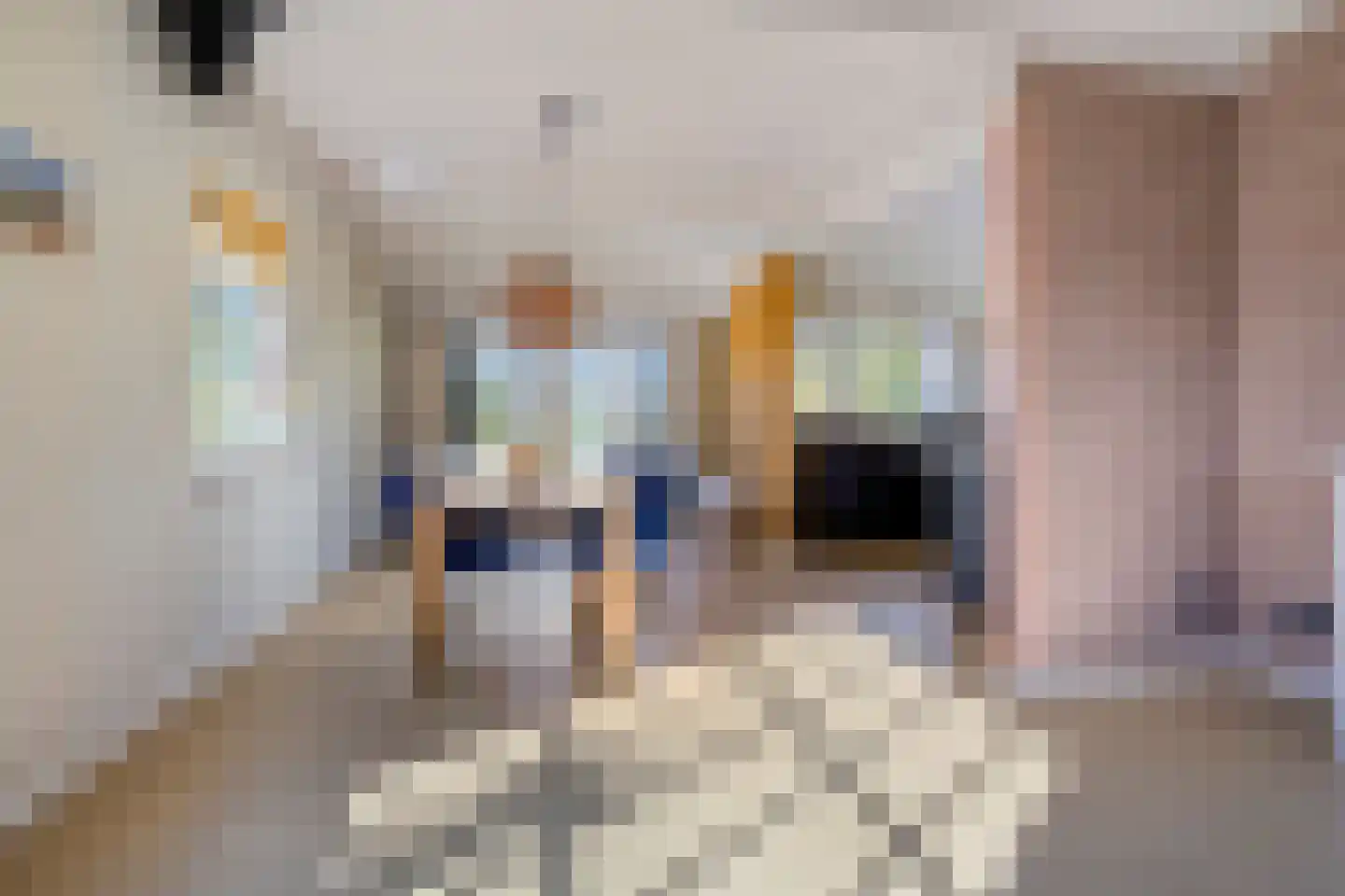 Hemmenweg 7 Ekehaar thumbnail 11