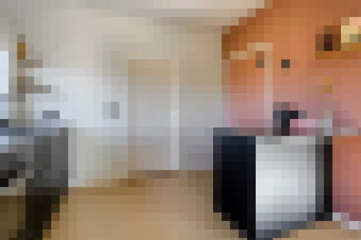 Hemmenweg 7 Ekehaar thumbnail 15