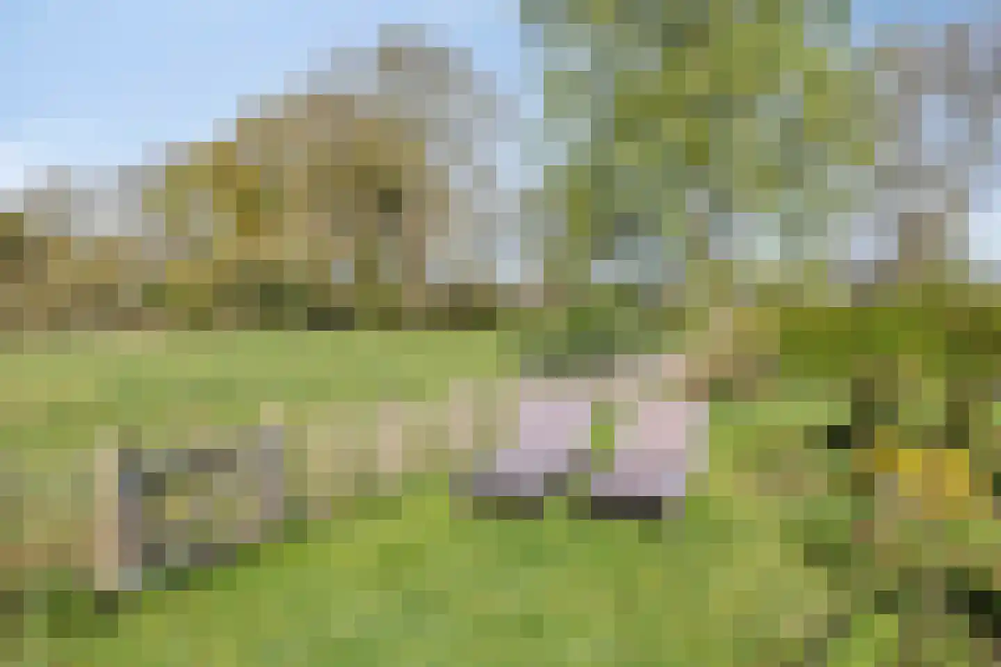 Hemmenweg 7 Ekehaar thumbnail 37