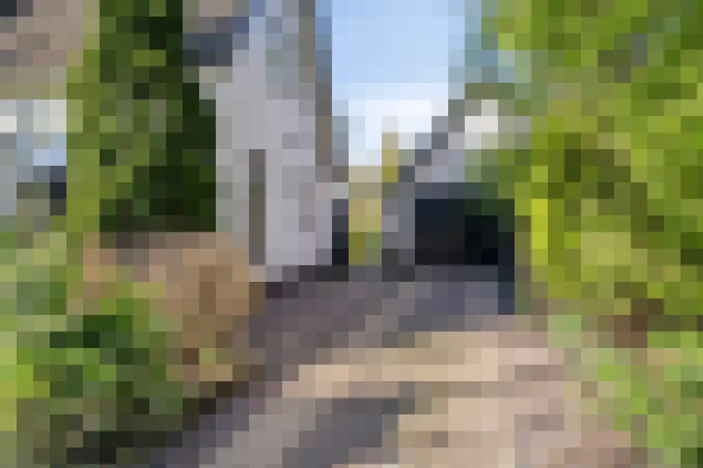 Hemmenweg 7 Ekehaar thumbnail 49