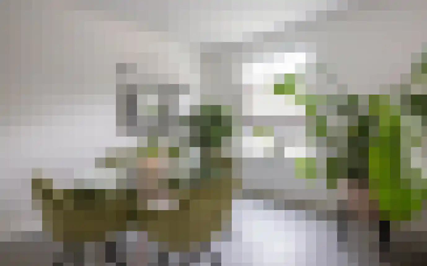 Hemmerbuurt 13 Hem thumbnail 10