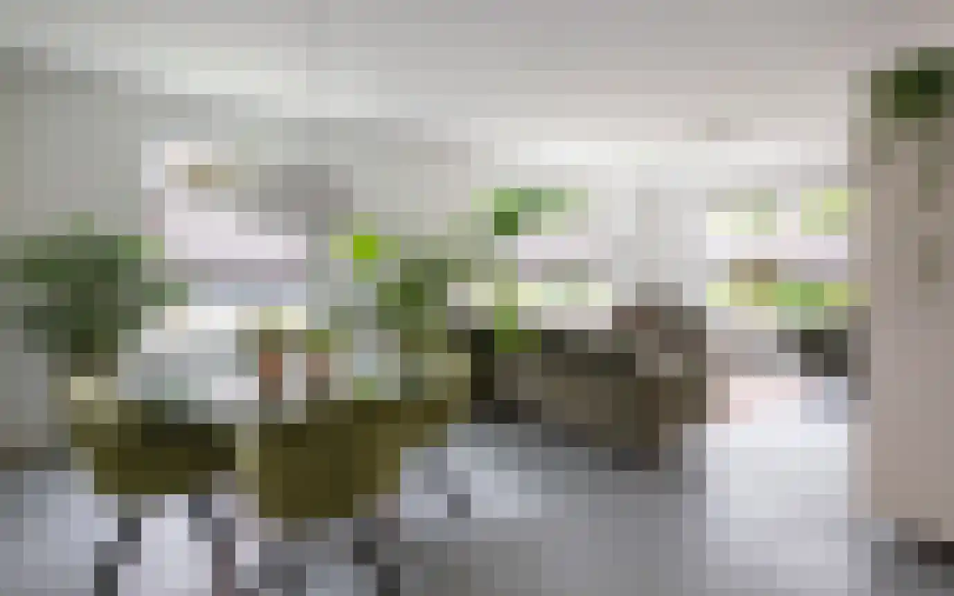 Hemmerbuurt 13 Hem thumbnail 19