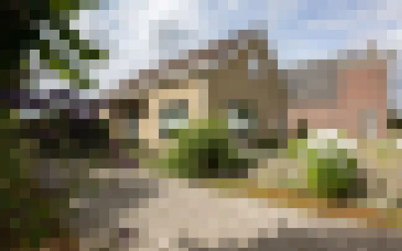 Hemmerbuurt 13 Hem thumbnail 63
