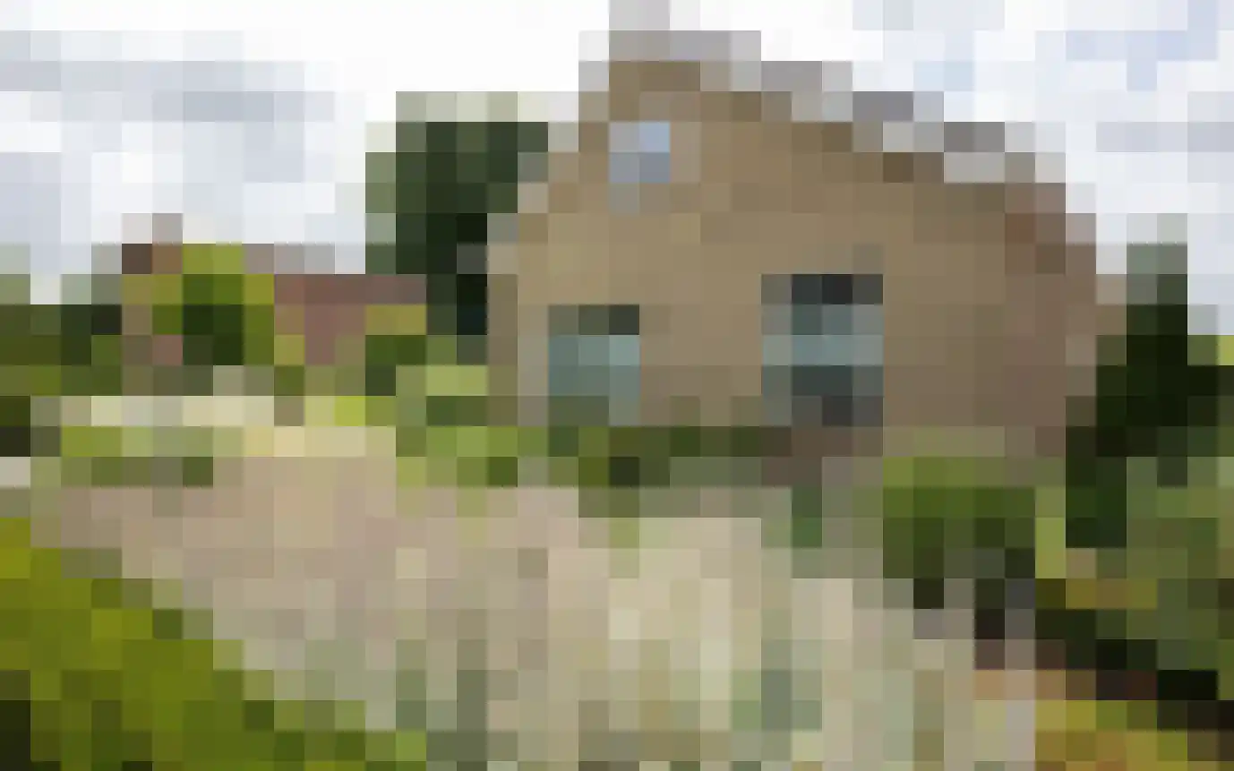 Hemmerbuurt 13 Hem thumbnail 69