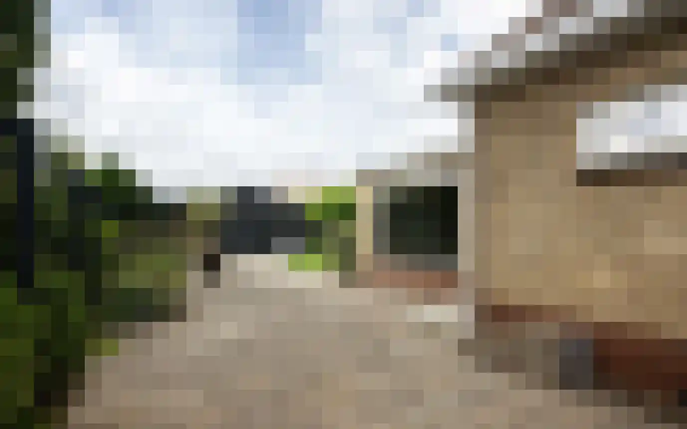 Hemmerbuurt 13 Hem thumbnail 75