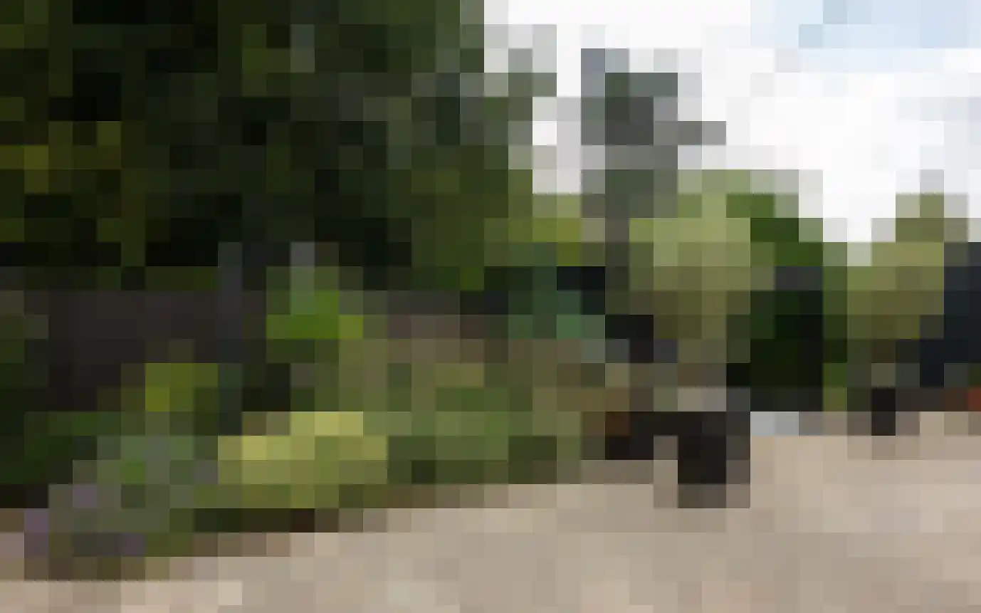 Hemmerbuurt 13 Hem thumbnail 78