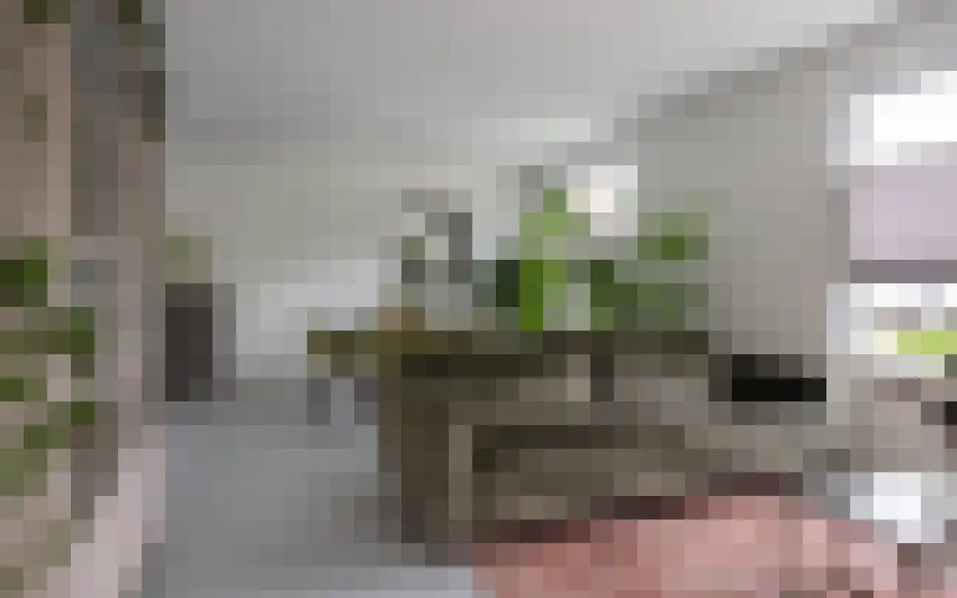 Hemmerbuurt 13 Hem thumbnail 8
