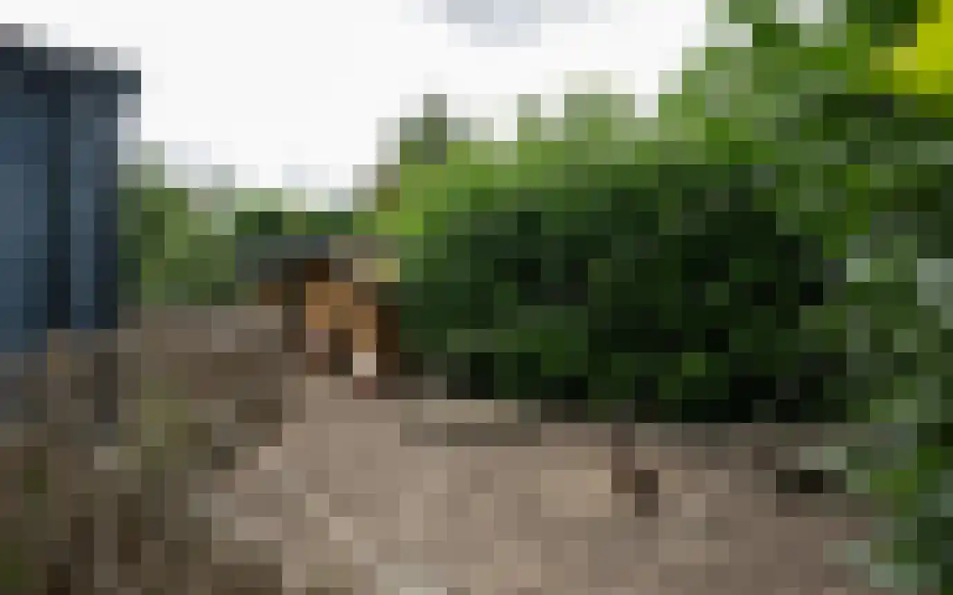 Hemmerbuurt 13 Hem thumbnail 87