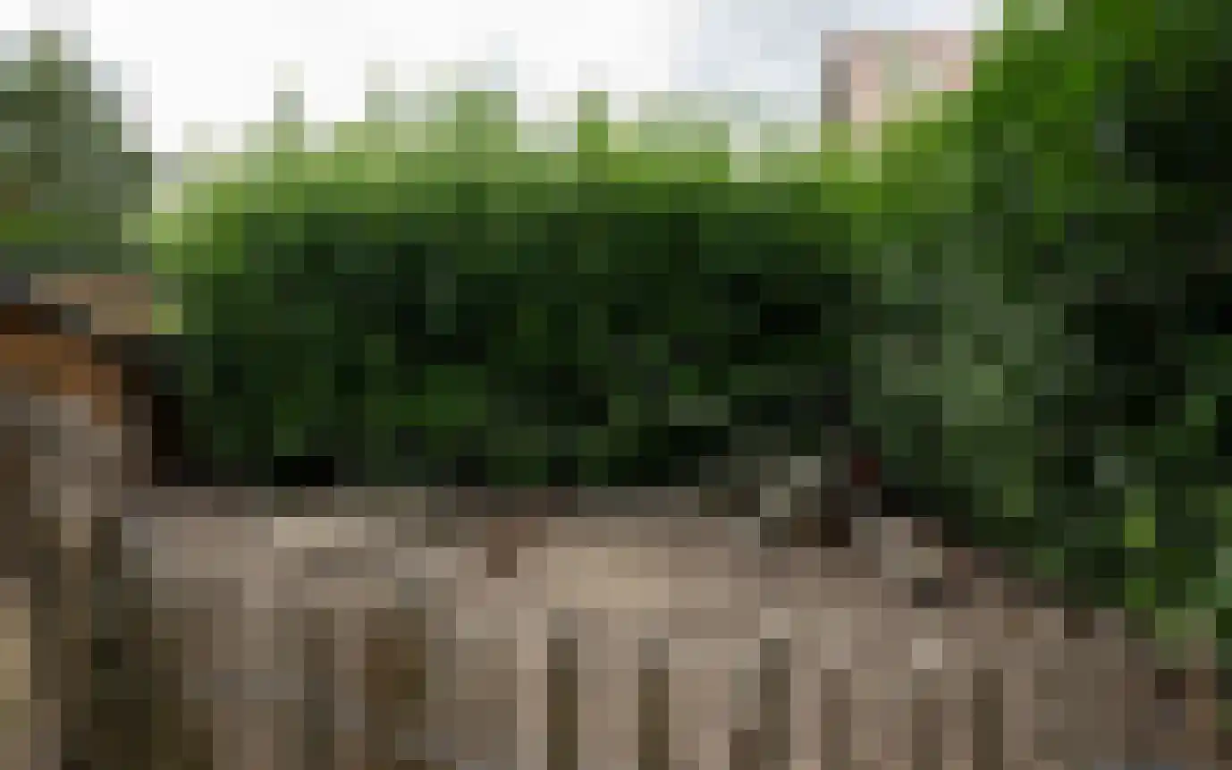 Hemmerbuurt 13 Hem thumbnail 88