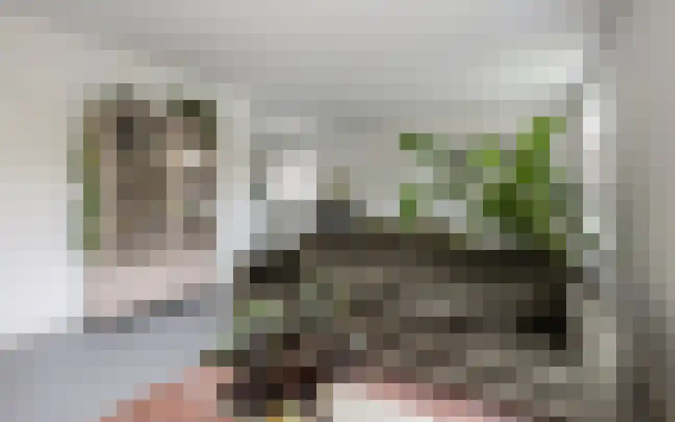Hemmerbuurt 13 Hem thumbnail 9