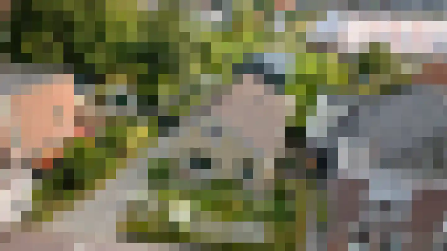 Hemmerbuurt 13 Hem thumbnail 96
