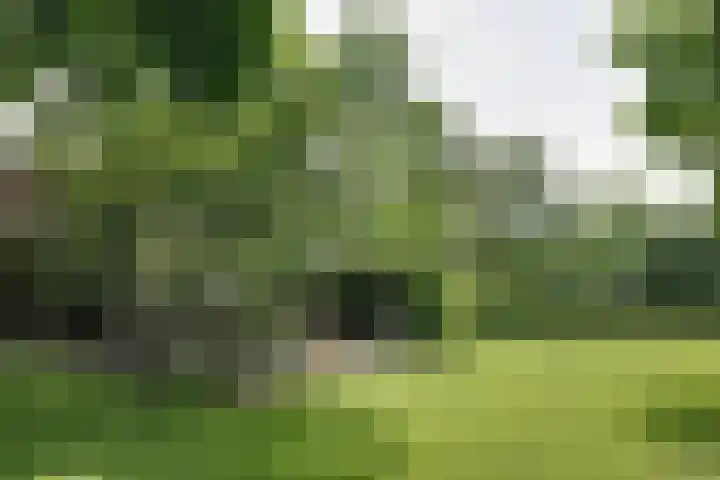 Hemmerbuurt 138 Hem thumbnail 10