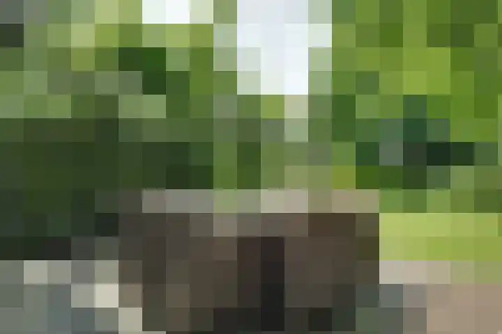 Hemmerbuurt 138 Hem thumbnail 12