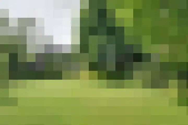 Hemmerbuurt 138 Hem thumbnail 13