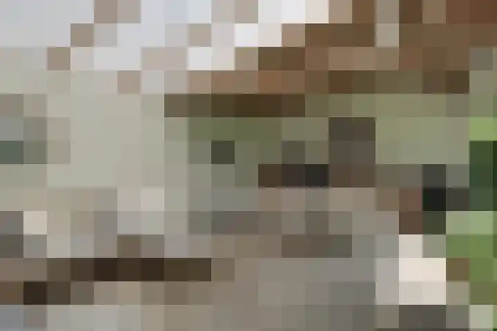 Hemmerbuurt 138 Hem thumbnail 69
