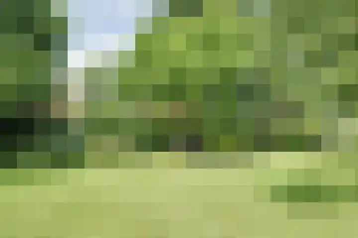 Hemmerbuurt 138 Hem thumbnail 76