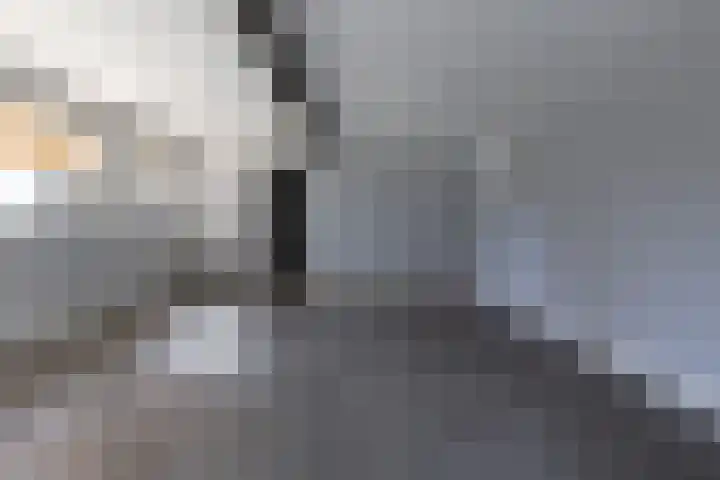 Hemmerbuurt 24 Hem thumbnail 43
