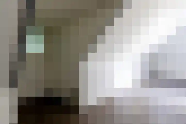 Hemmerbuurt 24 Hem thumbnail 57