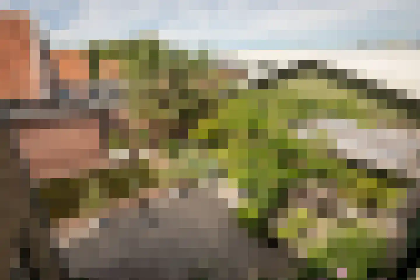 Hemmerbuurt 46 Hem thumbnail 29
