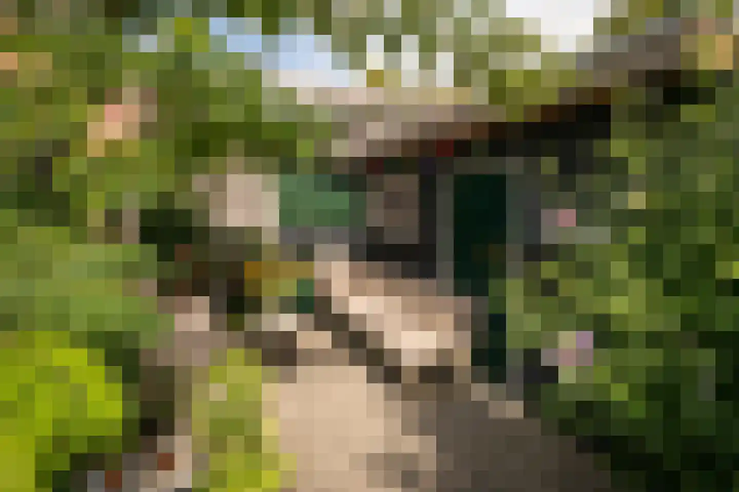 Hemmerbuurt 46 Hem thumbnail 32