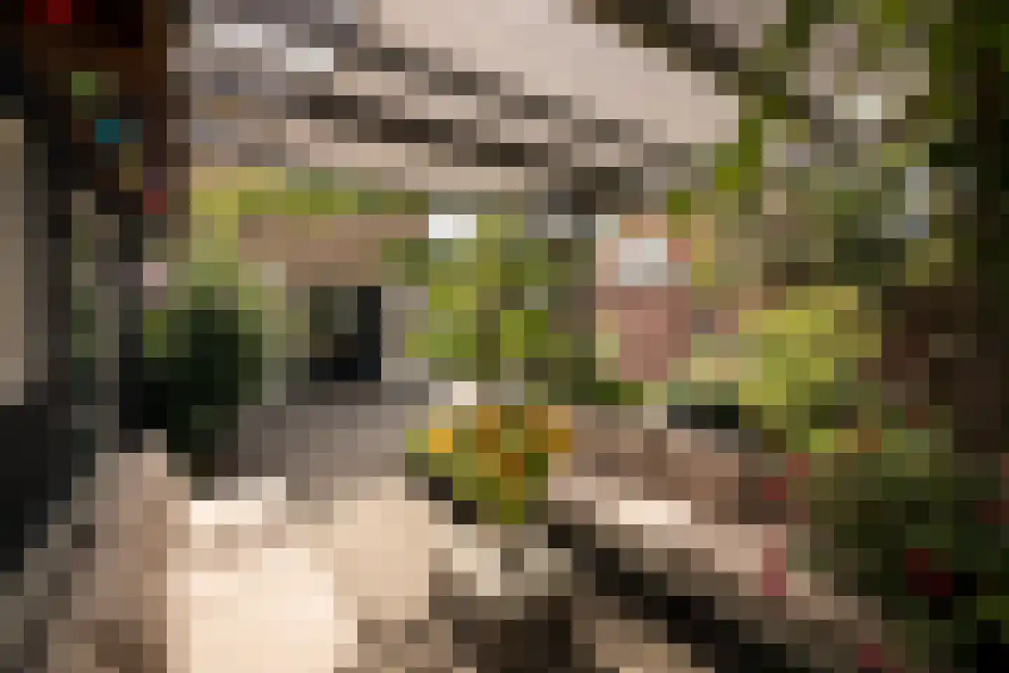 Hemmerbuurt 46 Hem thumbnail 33