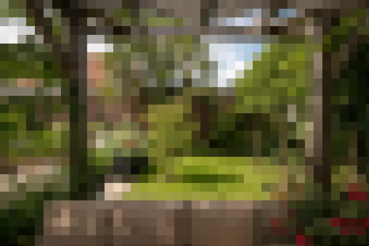 Hemmerbuurt 46 Hem thumbnail 34