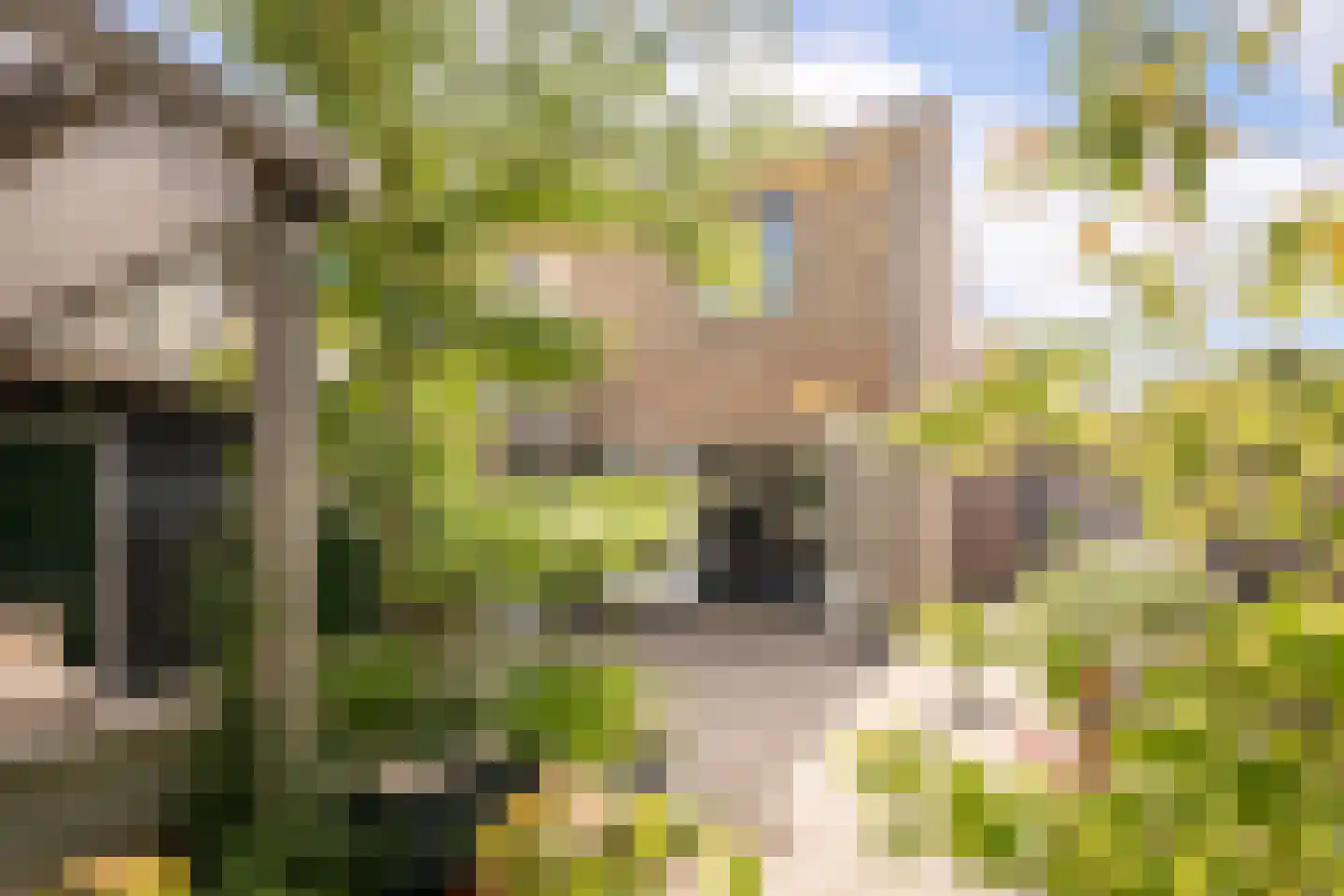 Hemmerbuurt 46 Hem thumbnail 36