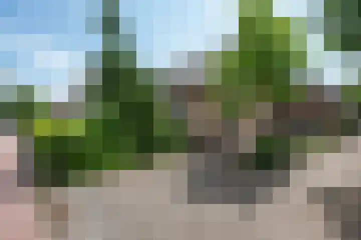Hemmerbuurt 49 Hem thumbnail 27