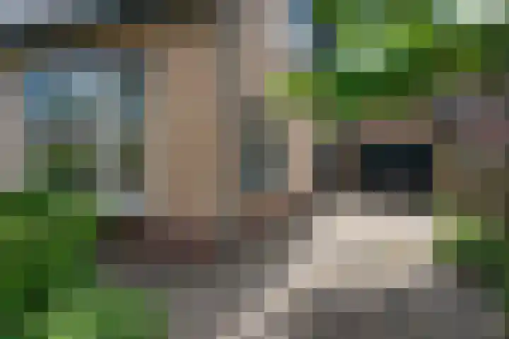 Hemmerbuurt 49 Hem thumbnail 28