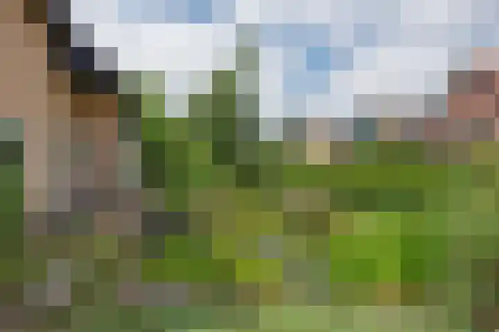 Hemmerbuurt 49 Hem thumbnail 30