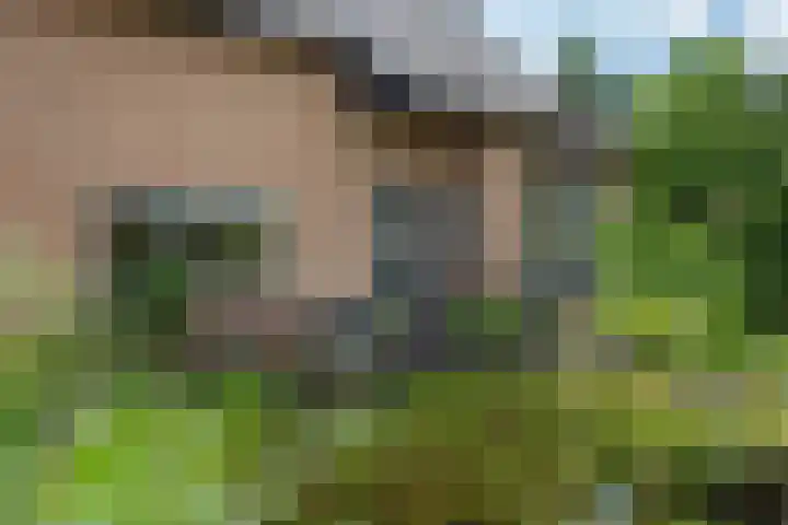 Hemmerbuurt 49 Hem thumbnail 31