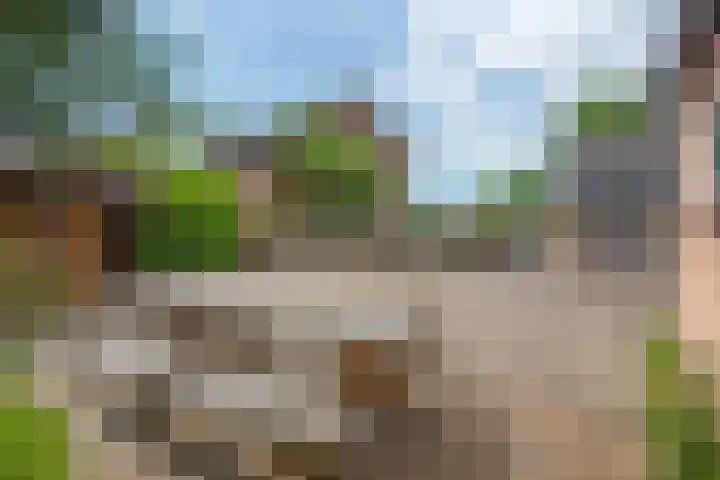 Hemmerbuurt 49 Hem thumbnail 39