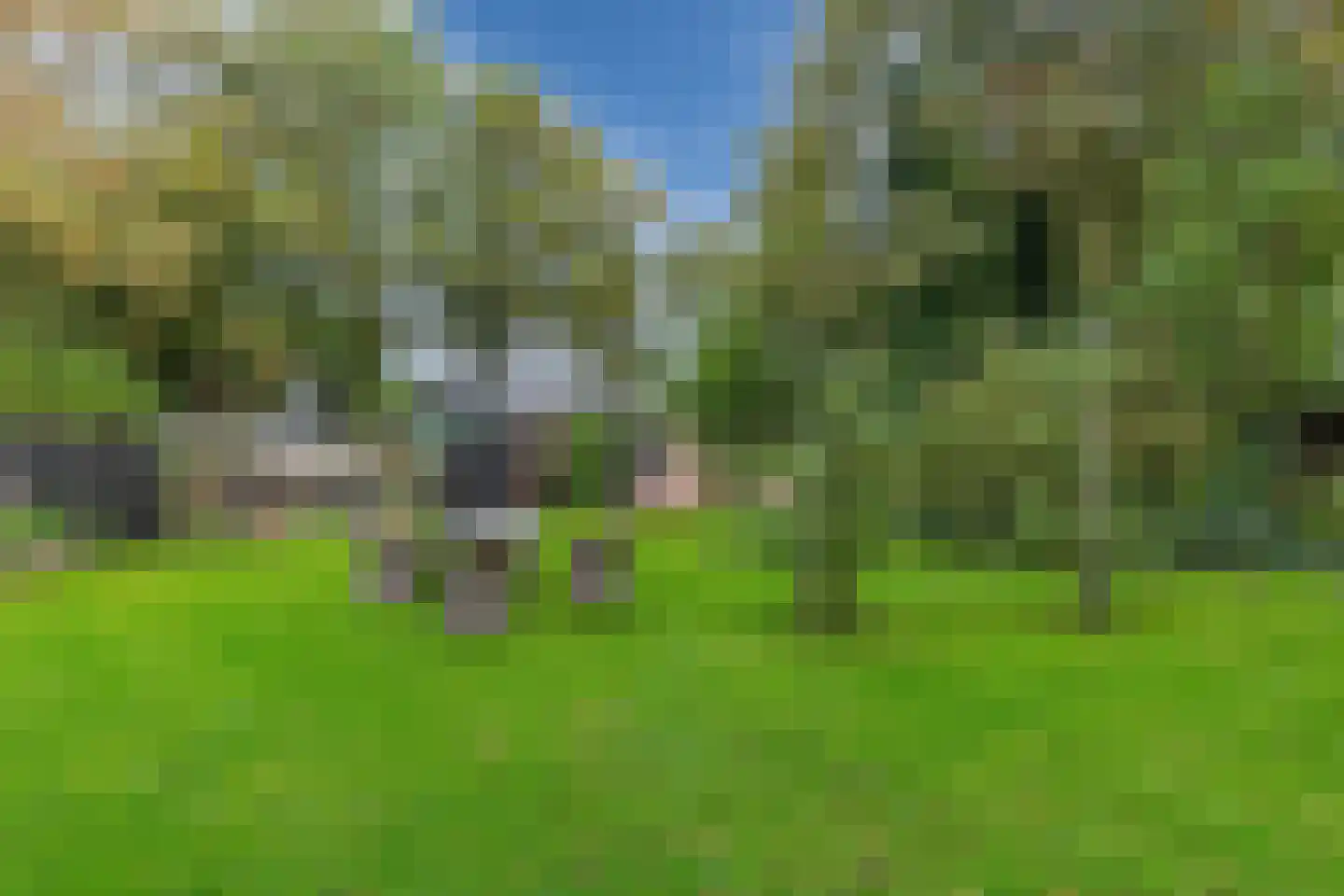Hemmerweg 10 Barsingerhorn thumbnail 101