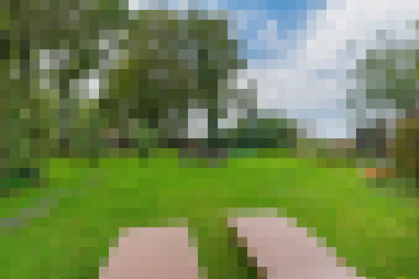 Hemmerweg 10 Barsingerhorn thumbnail 104
