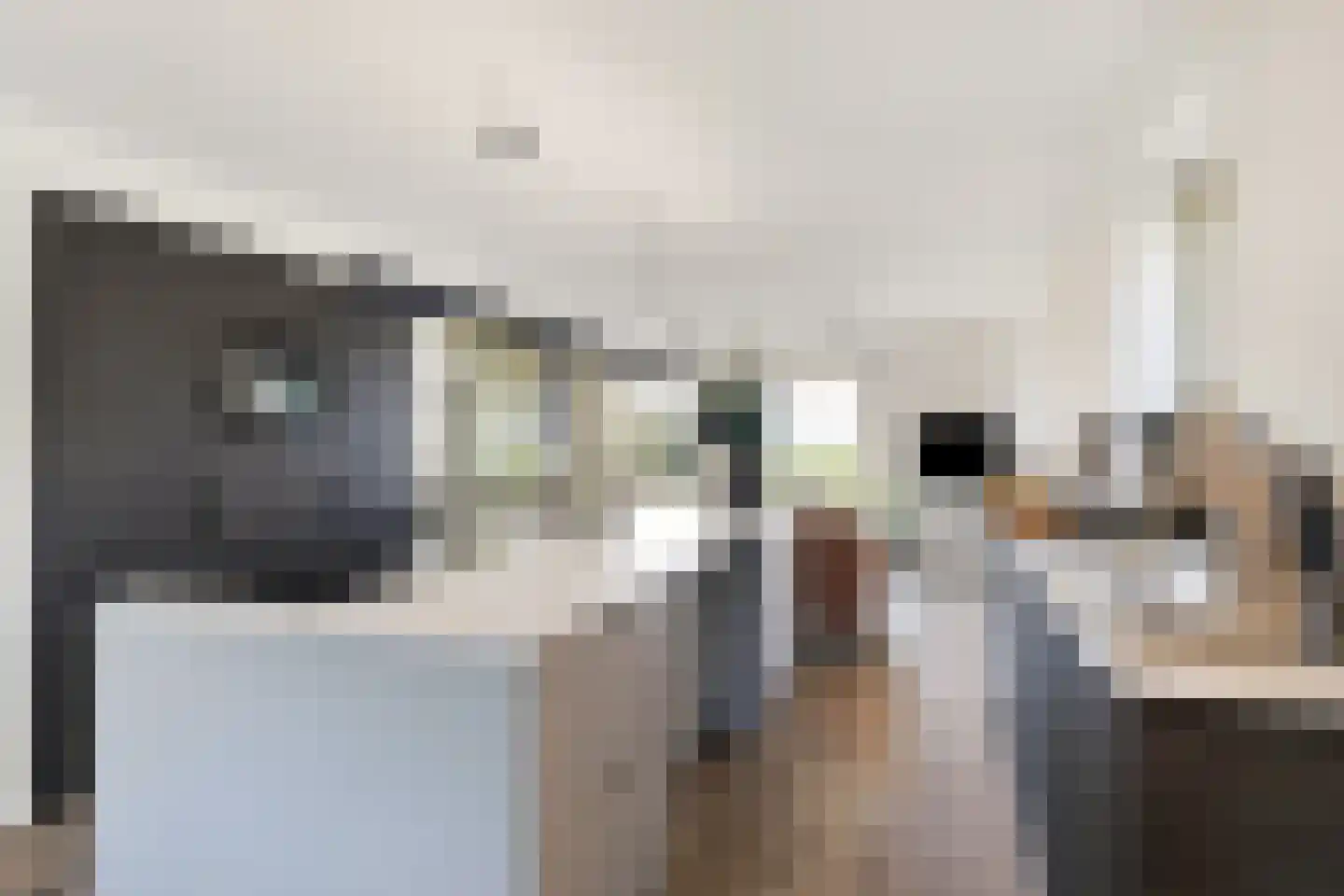 Hemmerweg 10 Barsingerhorn thumbnail 11