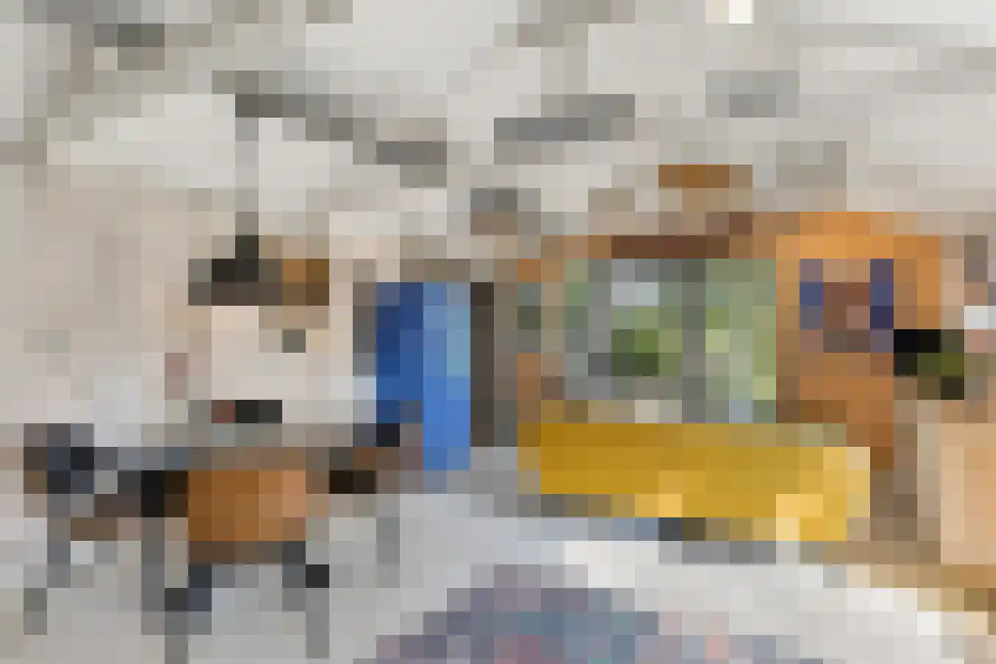 Hemmerweg 10 Barsingerhorn thumbnail 112