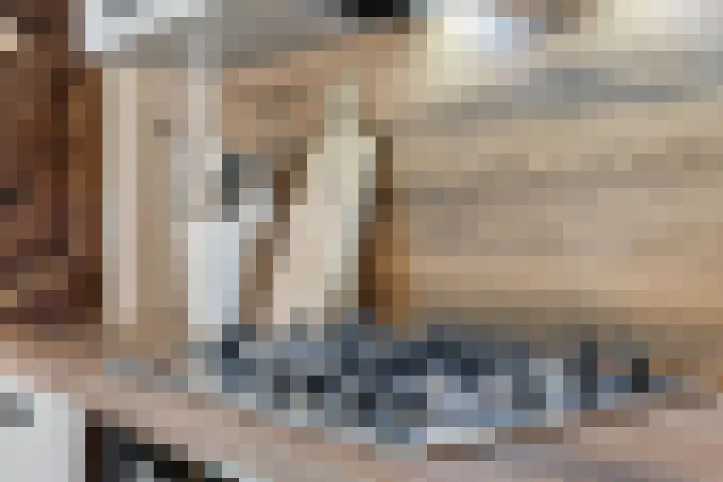 Hemmerweg 10 Barsingerhorn thumbnail 115