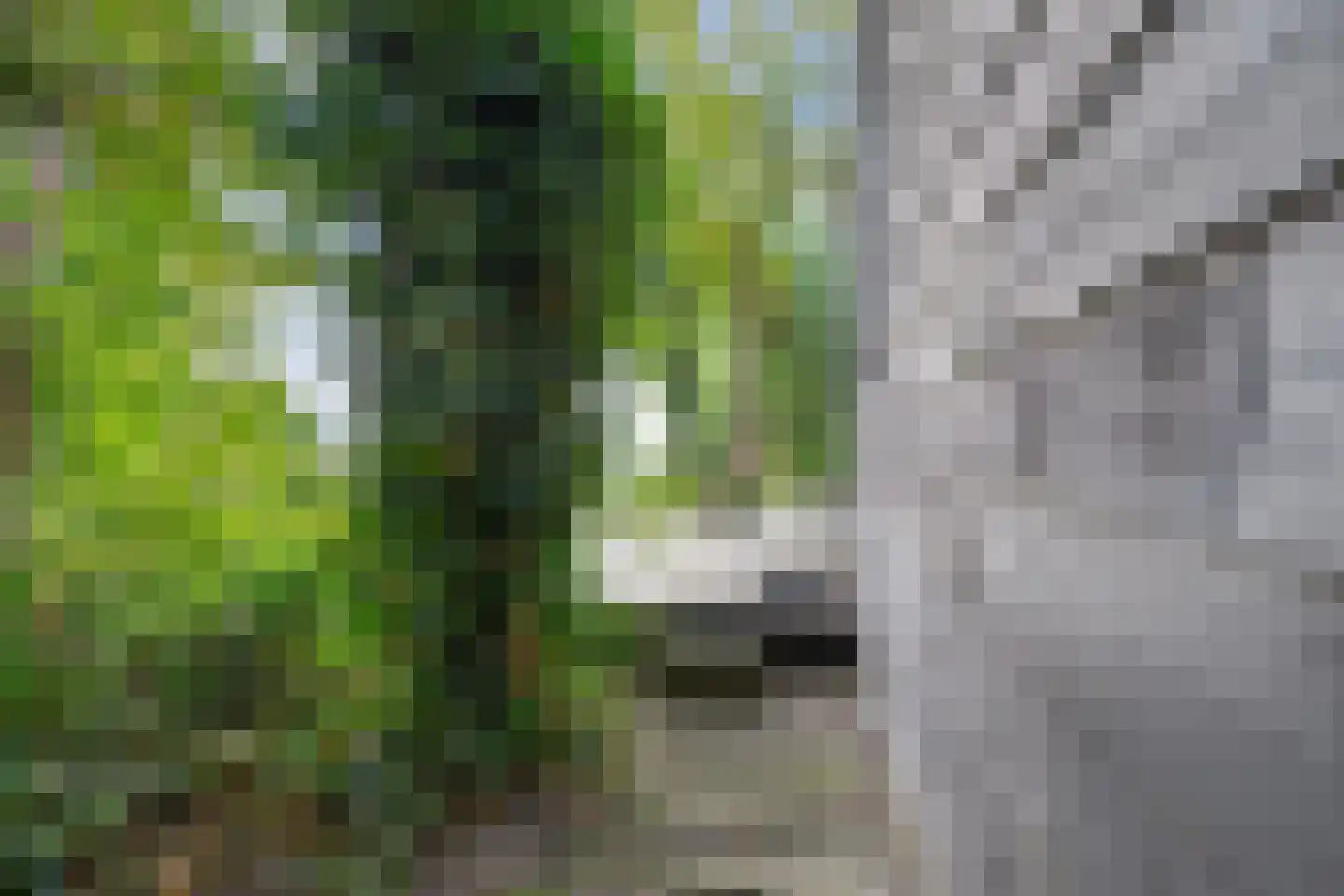 Hemmerweg 10 Barsingerhorn thumbnail 131