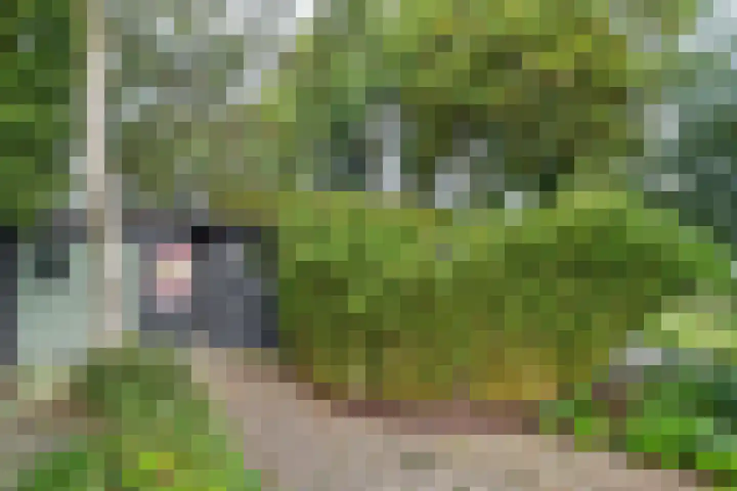 Hemmerweg 10 Barsingerhorn thumbnail 132