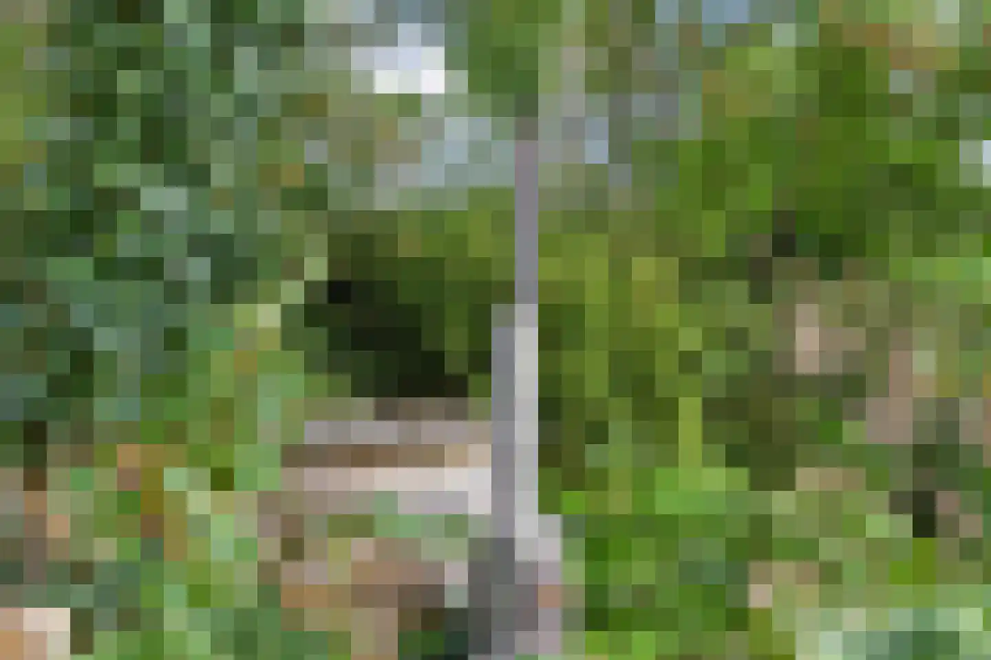 Hemmerweg 10 Barsingerhorn thumbnail 133