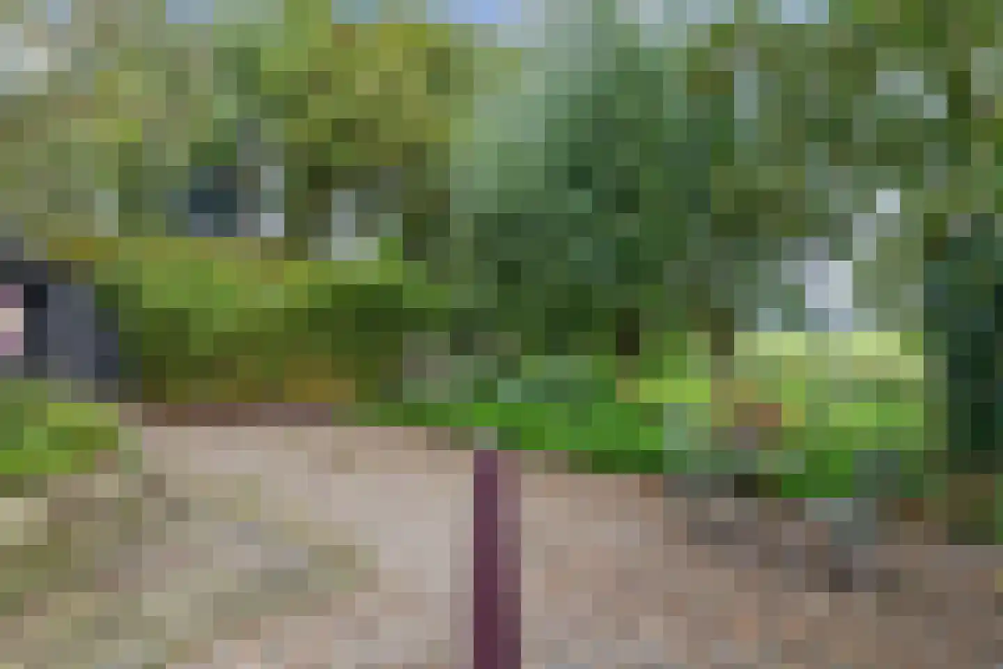 Hemmerweg 10 Barsingerhorn thumbnail 134
