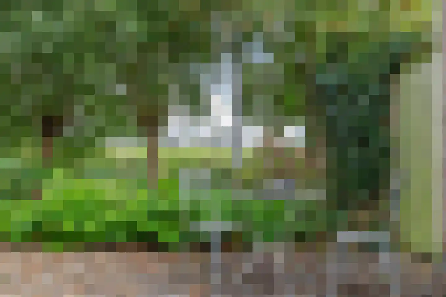 Hemmerweg 10 Barsingerhorn thumbnail 135